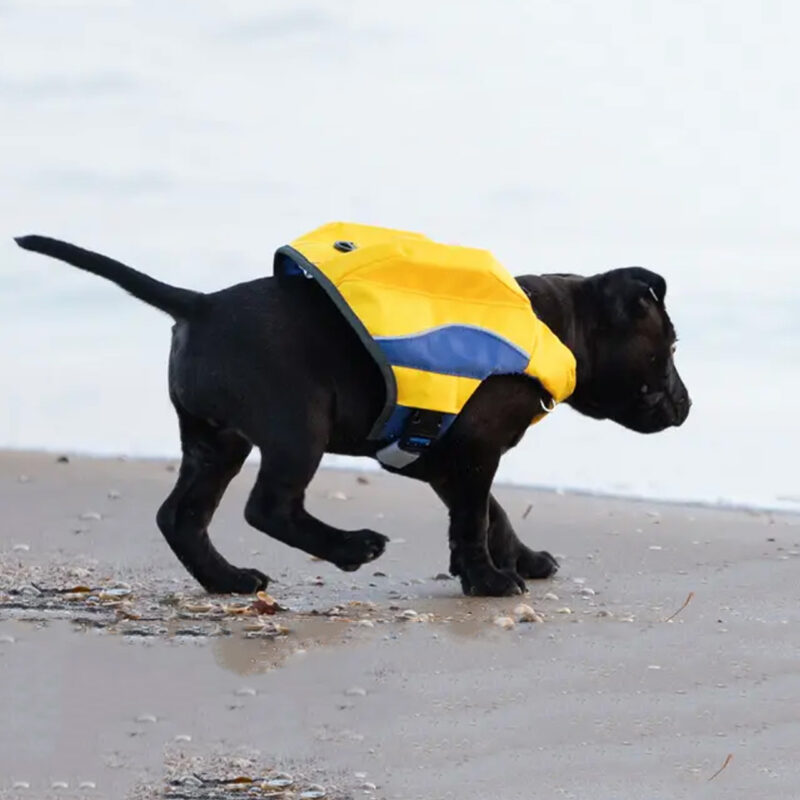 DogSafe Pro Hundflytväst - Yellow