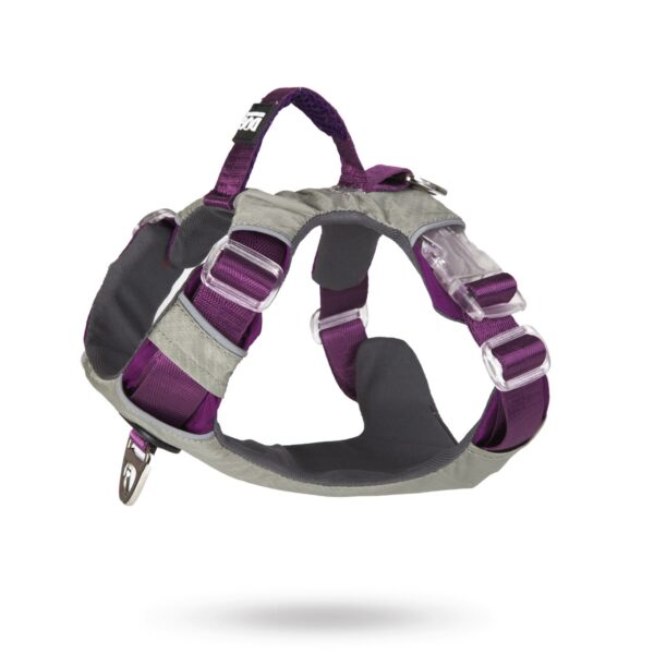 Safe-Walk Comfort™ Lila