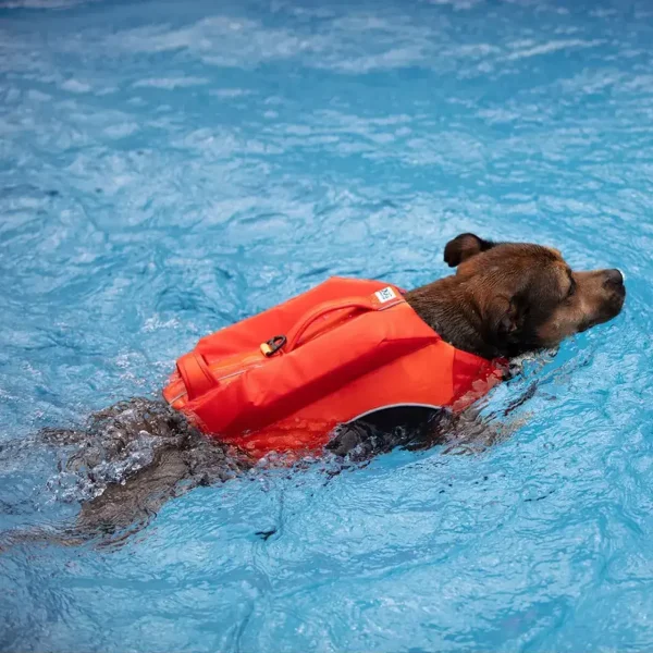 DogSafe Pro Hundflytväst - Orange