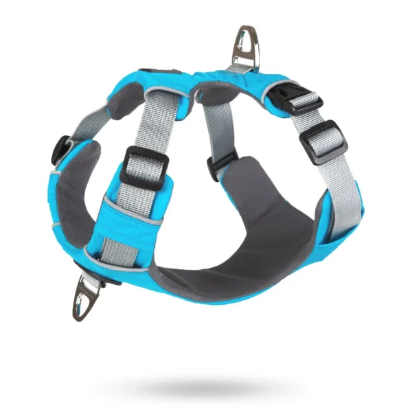 SAFE-WALK PRO™ Ljusblå