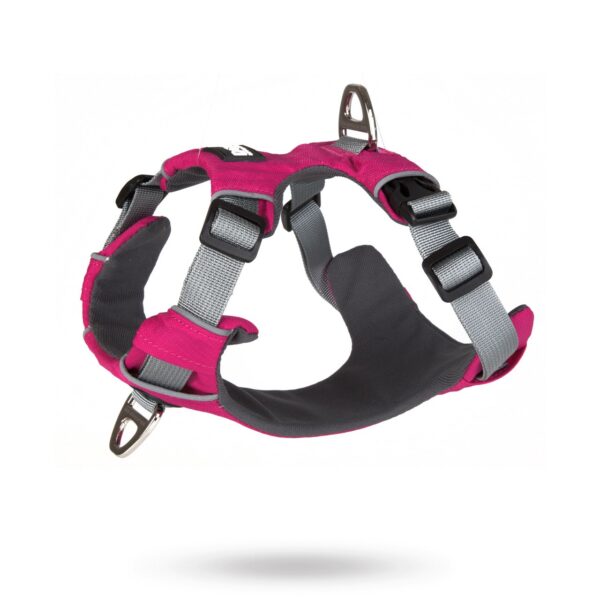 SAFE-WALK PRO™ Rosa