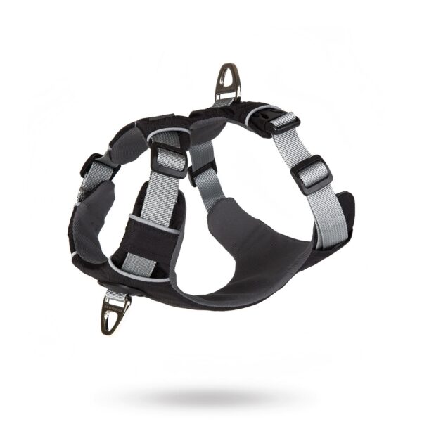 SAFE-WALK PRO™ Svart
